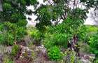 2,010 m² Residential Land at Second Row Kuruwitu Beach - 1