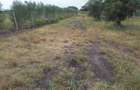 0.125 ac Residential Land in Ongata Rongai - 7