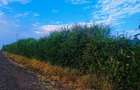 10 ac Land at Mweiga - 5