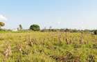 Land in Kilifi - 1