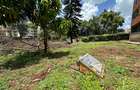0.4 ac Commercial Property with Service Charge Included at Milimani - 3