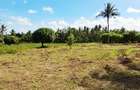 Land at Vipingo - 16