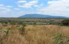 10 ac Land at Maguguni - 5