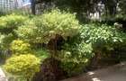 Residential Land in Kilimani - 4