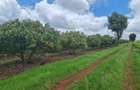 420 ac Land at Kiambu - 9
