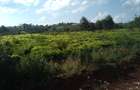 1 ac Land in Tigoni - 17