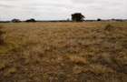 30 ac Land at Off Namanga Rd - 9