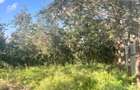 Residential Land at Kandisi - 5
