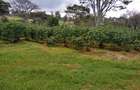 100 ac Land at Kiambu Road - 7