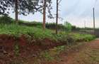 0.125 ac Residential Land at Runda - 6