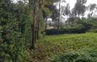 1.25 ac Land in Ngong - 5