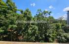 Furnished 3 Bed Apartment with En Suite in Westlands Area - 2