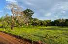 Residential Land in Vipingo - 13
