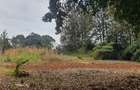 0.5 ac Residential Land at Nyari - 8