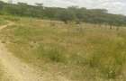 Residential Land at Oltoroto - 5