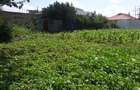 0.125 ac Residential Land in Ongata Rongai - 2