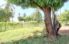 Land at Kilifi Tezo - 8