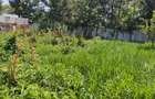 Land at Mugutha - 4