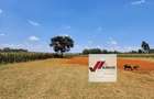 25 ac Land in Kitisuru - 3