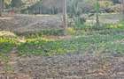 0.3 ac Land at Kabiria - 6