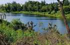 50 ft² Residential Land at Juja - 19