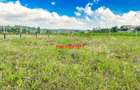 0.05 ha Residential Land at Rose Gate - 9