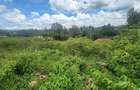 0.2 ha Commercial Land at Merisho Road - 6