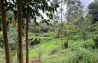0.42 ac Residential Land at Kirawa Road - 6