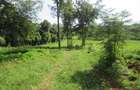 Residential Land at Ololua Ridge - 5