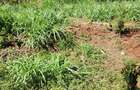 Residential Land at Thome. - 8