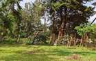 Commercial Property in Limuru - 7