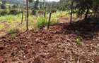 486 m² Residential Land at Ngong – Kibiko - 2