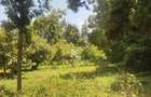 2.2 ac Land in Ngong - 2