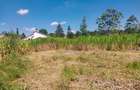 0.5 ac Land in Ridgeways - 3