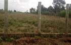 0.125 ac Commercial Land at Karai Estate - 8