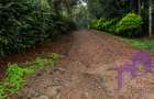 1 ac Land at Karen Road - 9
