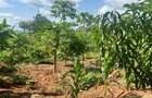 2 ac Land at Karingani - 5