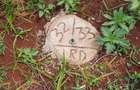 0.125 ac Commercial Land at Muchatha - 10