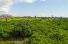 0.25 ac Residential Land at Diani Beach Road - 16