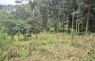 0.25 ac Land in Ruaka - 6