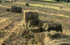 33 ac Land at Ol Kalou - 8
