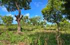 7 ac Land at Kikambala - 9