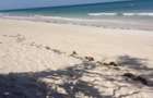 Land at Diani - 14