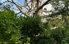 8,093.72 m² Land at Mtwapa Creek Aloo Drive - 16