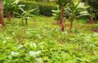 4 Bed House with En Suite in Ngong - 10
