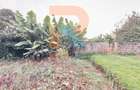 1.25 ac Land at White House Estate - 9