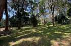1 ac Land in Karen - 12