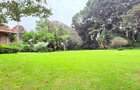 4.1 ac Land in Rosslyn - 14