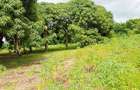 Land at Mtwapa - 13