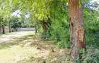Land at Mtwapa - 4